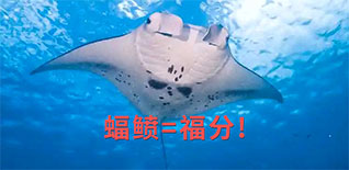 为科学而忙，是我们的福分——上海市中小学数字化实验系统研发中心的2024